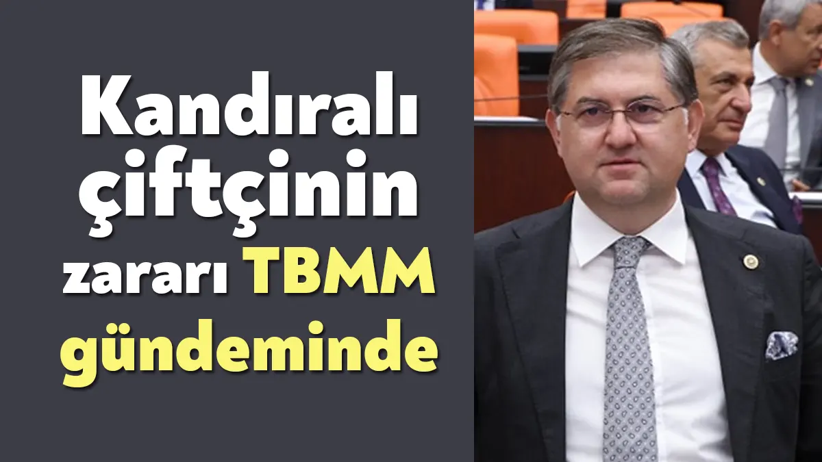 28.Dönem Cumhuriyet Halk Partisi Kocaeli Milletvekili olarak TBMM’de görev yapan