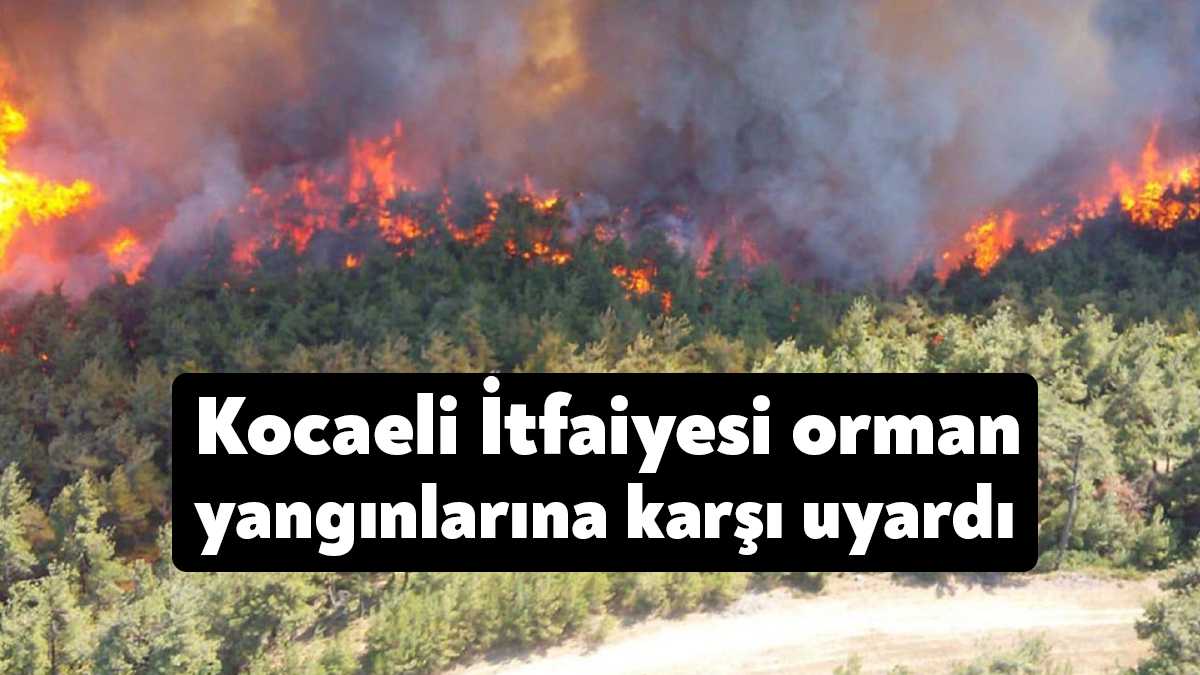 Kocaeli Büyükşehir İtfaiyesi, aşırı sıcakların yaşandığı bu günlerde orman yangınlarına