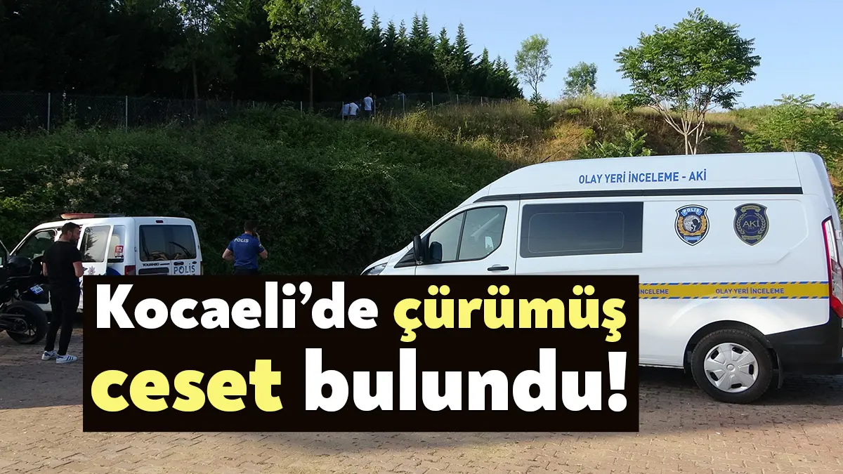 TEM Otoyolu’nun Kocaeli geçişinde yol kenarındaki yeşillik alanda çürümüş