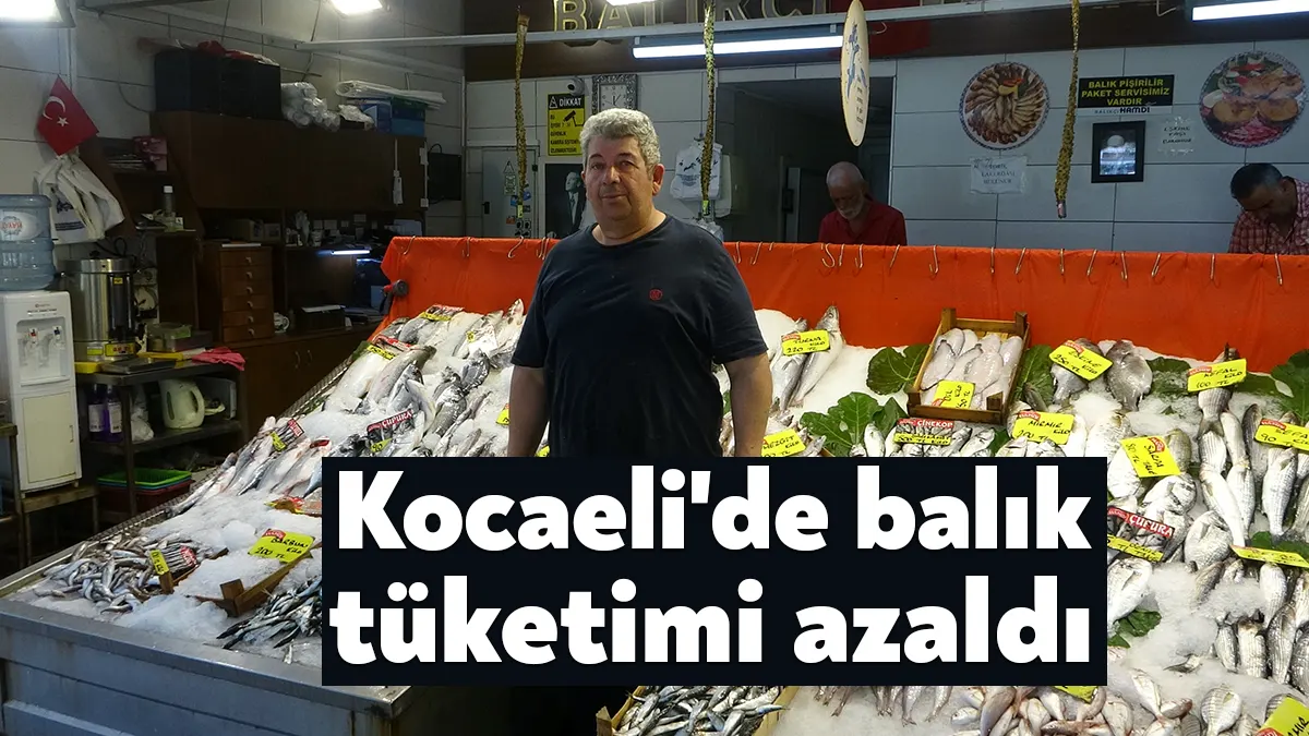Kocaeli’de balık tezgahlarındaki çeşitlilik göze çarpıyor. Her gün lezzetli ve