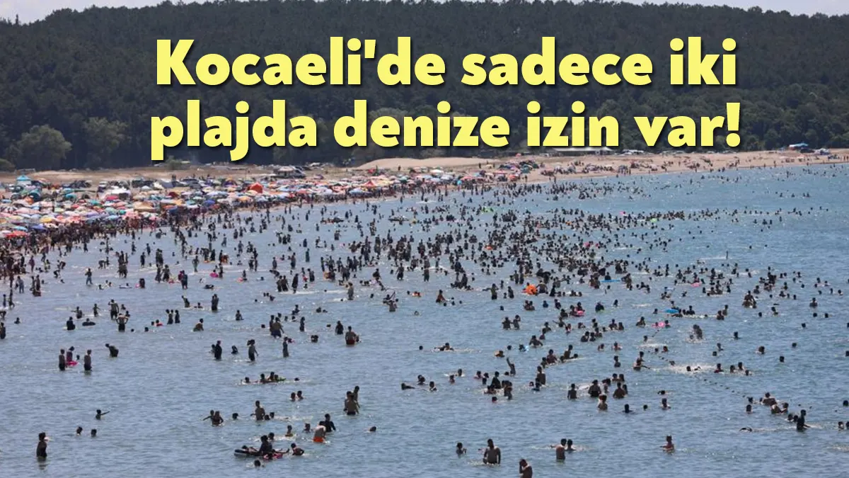 Kocaeli Büyükşehir Belediyesi, Kandıra'da iki plaj dışında denize girmenin yasaklandığını