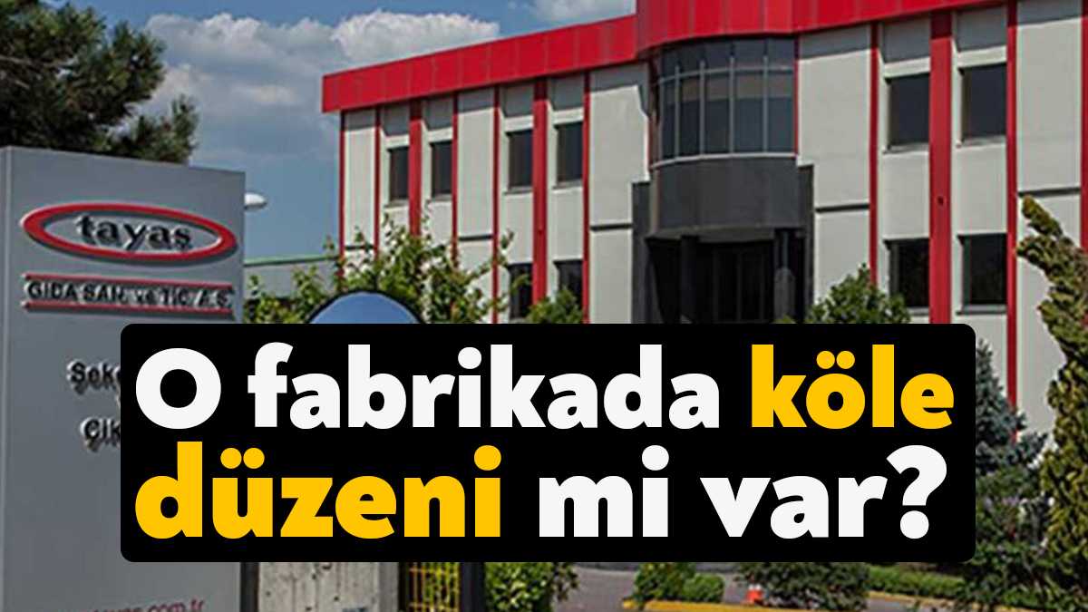 Kocaeli'nin Gebze ilçesinde yer alan 1.200 çalışanlı TAYAŞ Gıda'da işçiler