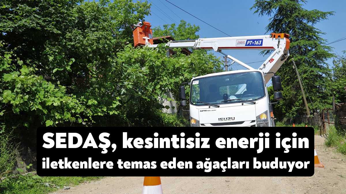 SEDAŞ, yaz mevsiminin başlamasıyla birlikte şebekelerde iletkenlere temas eden/ramak kalan