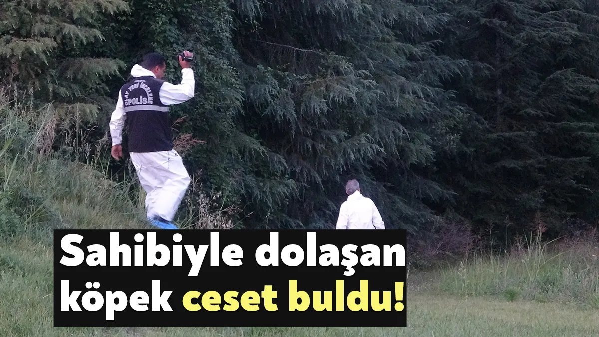 Kocaeli’nin İzmit ilçesinde sahibi ile dolaşan köpeğin aldığı kokuya doğru
