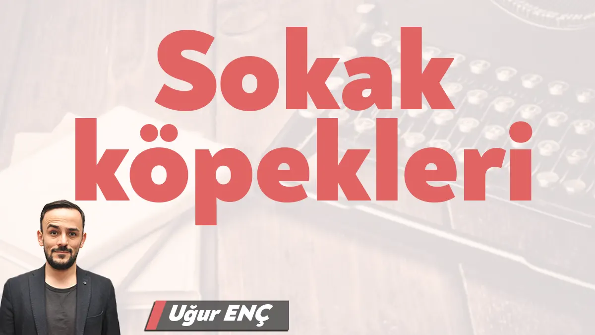 Gece saat 1’de fark ettim. Normalde uyumamışsam mutlaka haberleştirip kaydederdim.