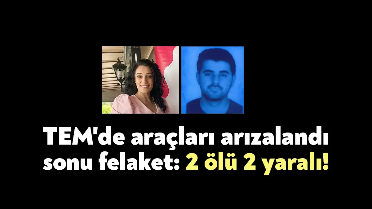 TEM Otoyolu Kocaeli geçişinde arızalanan otomobil ve oto kurtarıcıya tır