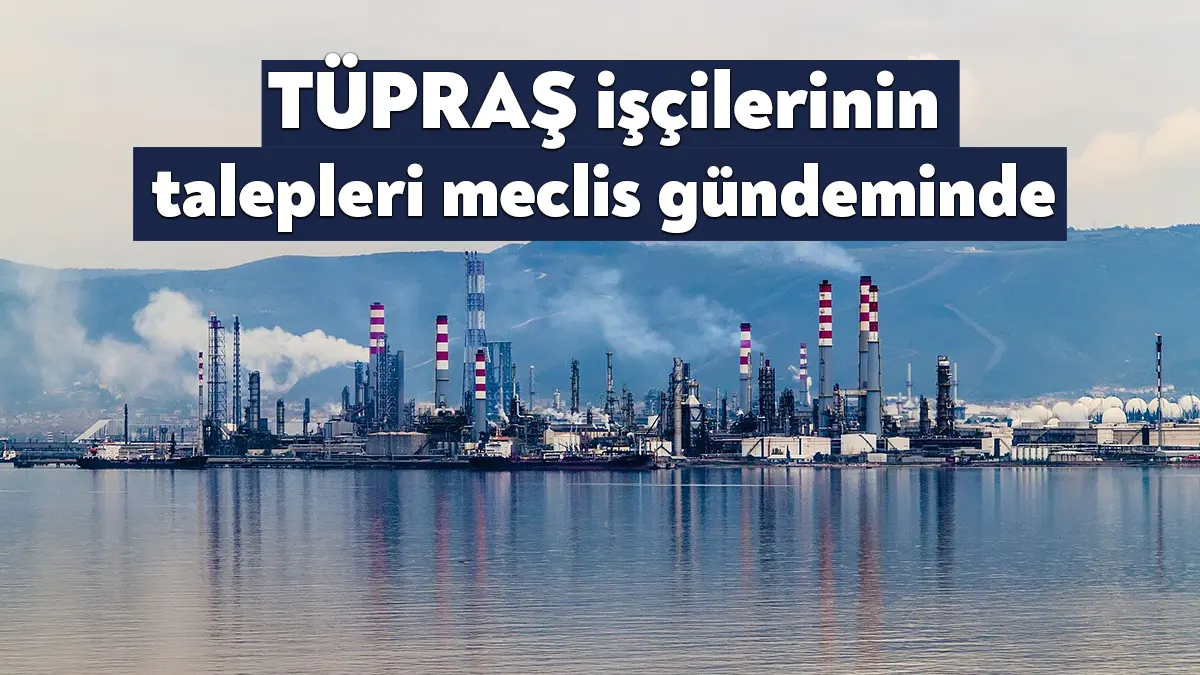 Emek Partisi (EMEP) Genel Başkan Yardımcısı ve Gaziantep Milletvekili Sevda