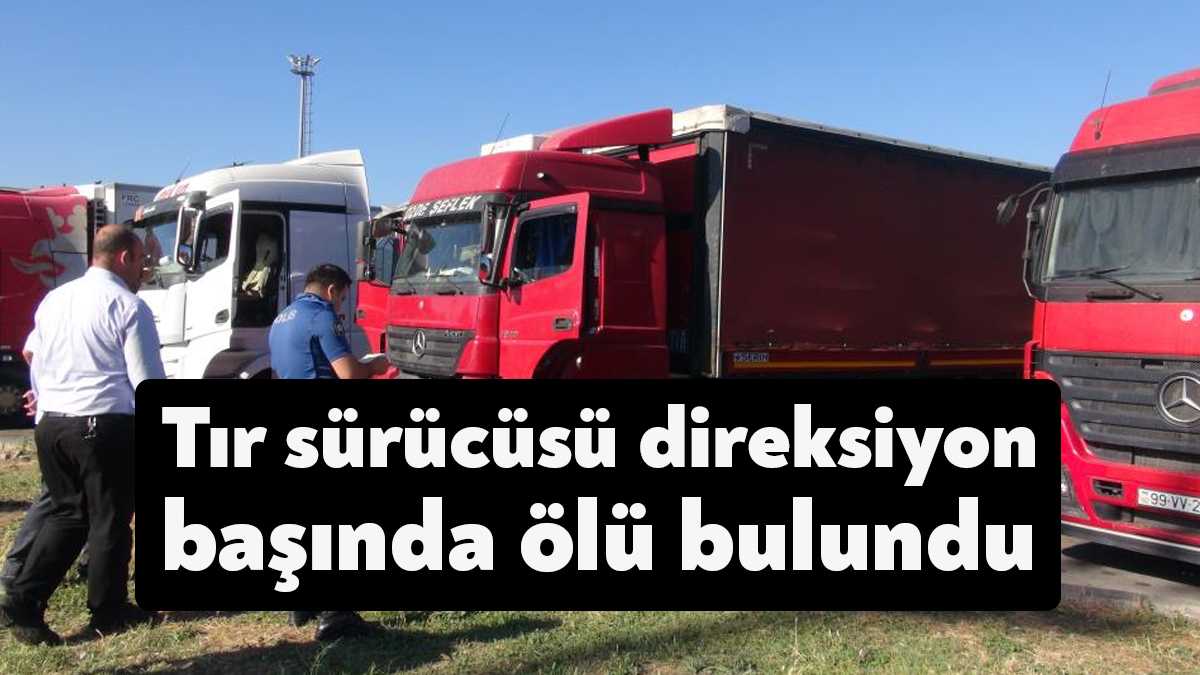 Kocaeli TEM Otoyolu üzerinde bulunan dinlenme tesisinde tır içinde hareketsizce