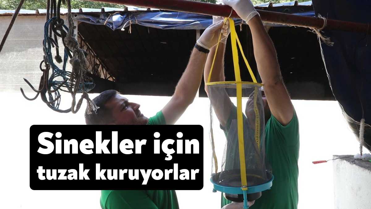 Büyükşehir, yaz aylarında insan sağlığının korunması amacıyla karasinek tuzaklarıyla vektörle