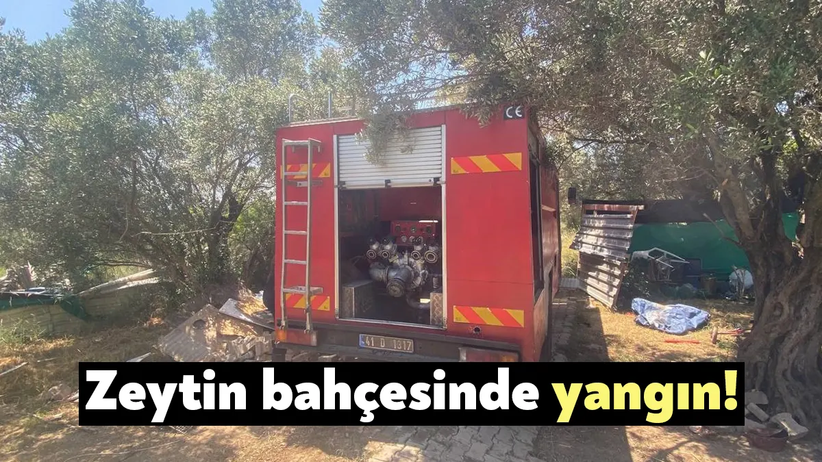 Kocaeli'nin Darıca ilçesinde 30 dönümlük zeytinlik alanda çıkan yangında çok