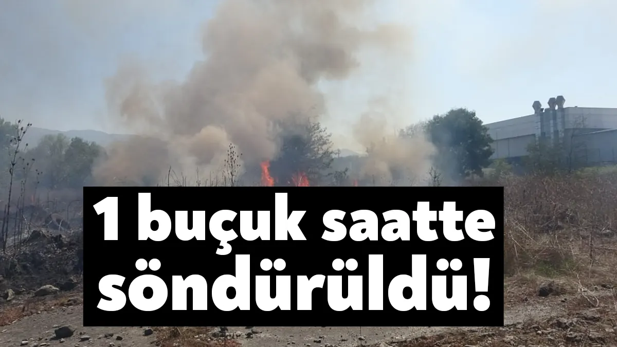 Kocaeli'nin Kartepe ilçesinde otluk alanda çıkan yangın panik oluşturdu. 10
