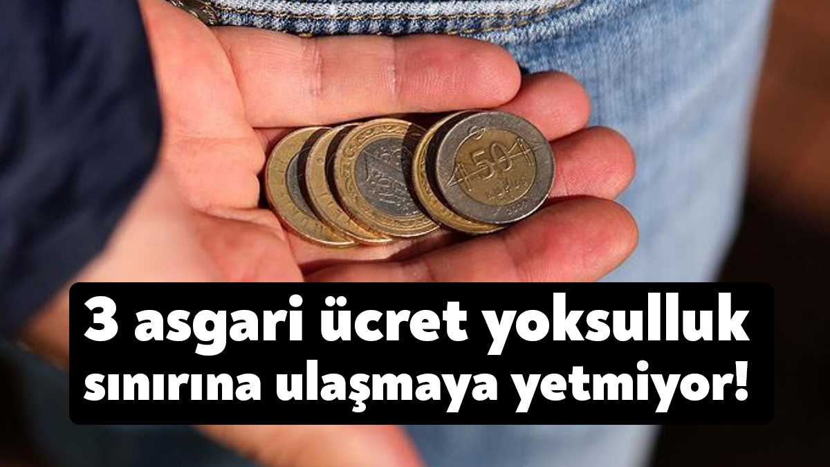 BİSAM verilerine göre, Temmuz 2023'te dört kişilik bir ailenin açlık