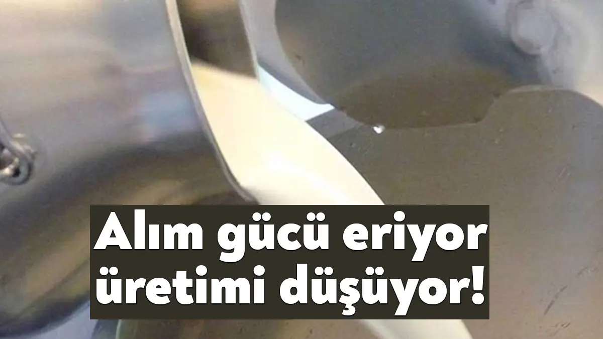 Haziranda tavuk eti üretimi yüzde 19,7, içme sütü üretimi yüzde