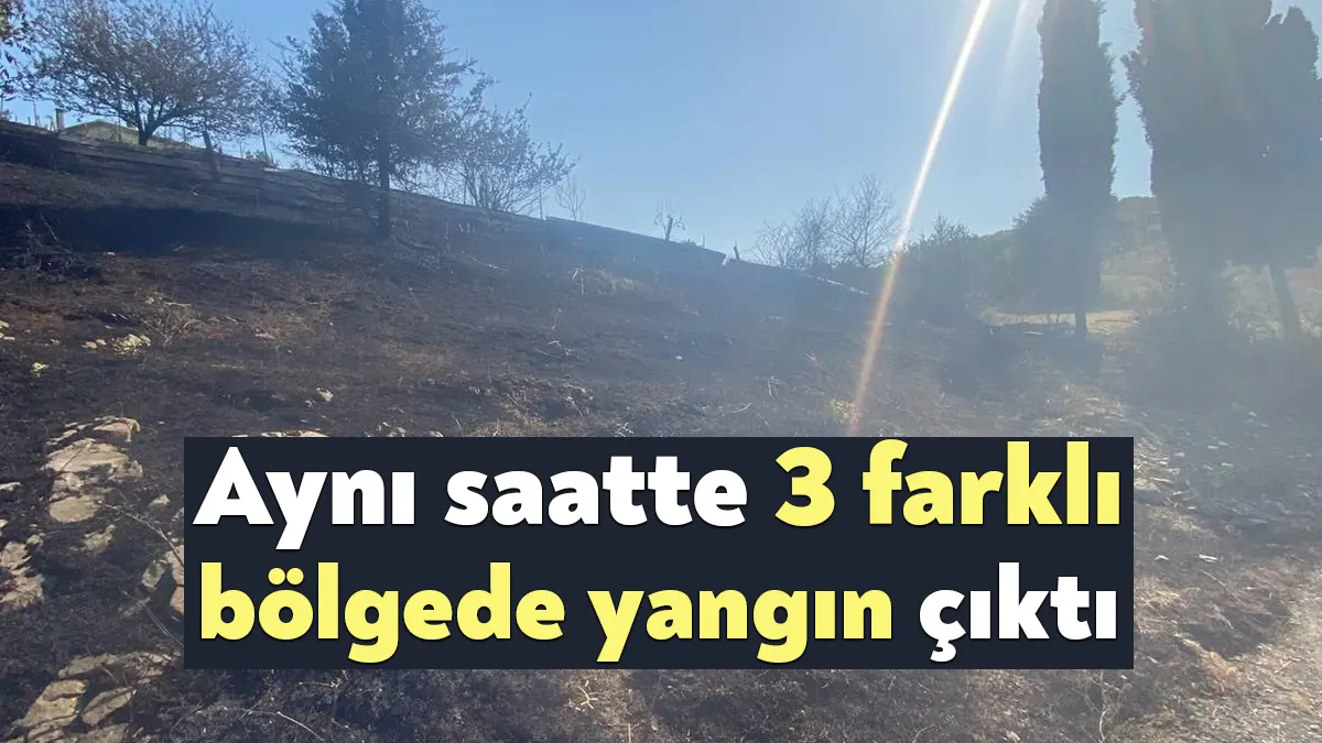 Kocaeli’nin Gebze ilçesindeki 3 farklı köydeki otluk alanlarda aynı saatte
