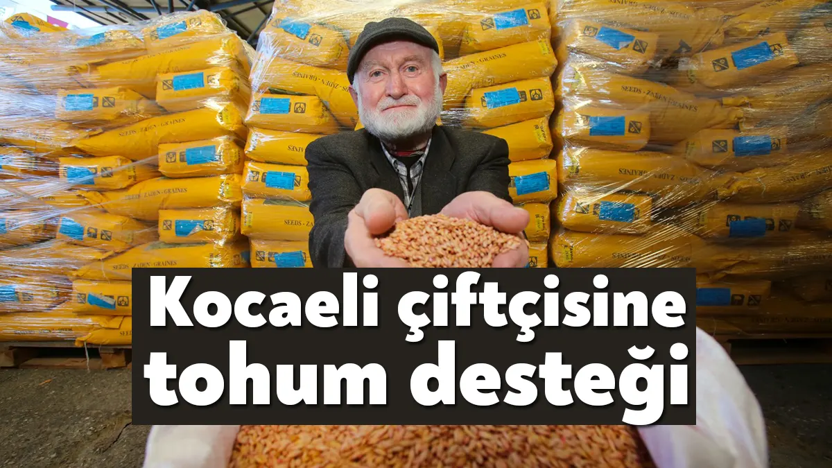 Büyükşehir'in yüzde 50 hibeli sonbahar dönemi yem bitkisi tohumu desteğine