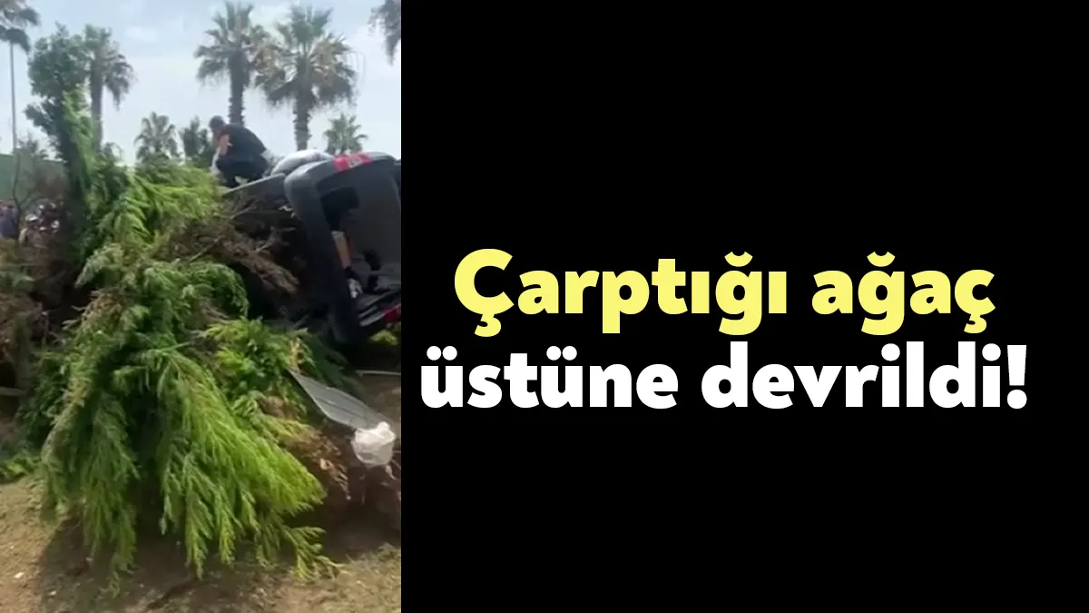 Kocaeli'nin Darıca ilçesinde freni tutmayan hafif ticari araç, ağaca çarptı.
