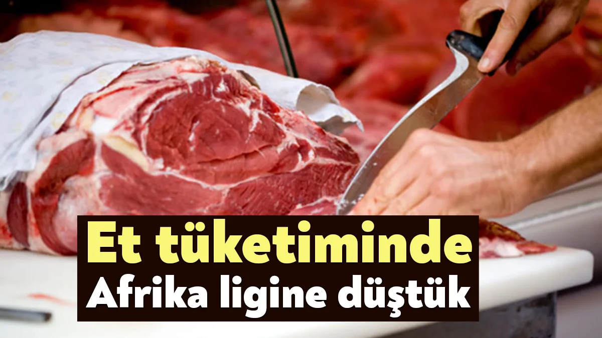 Türkiye et tüketiminde Avrupa ve ülkelerinin 3’te 1’i seviyesinde kalıyor.