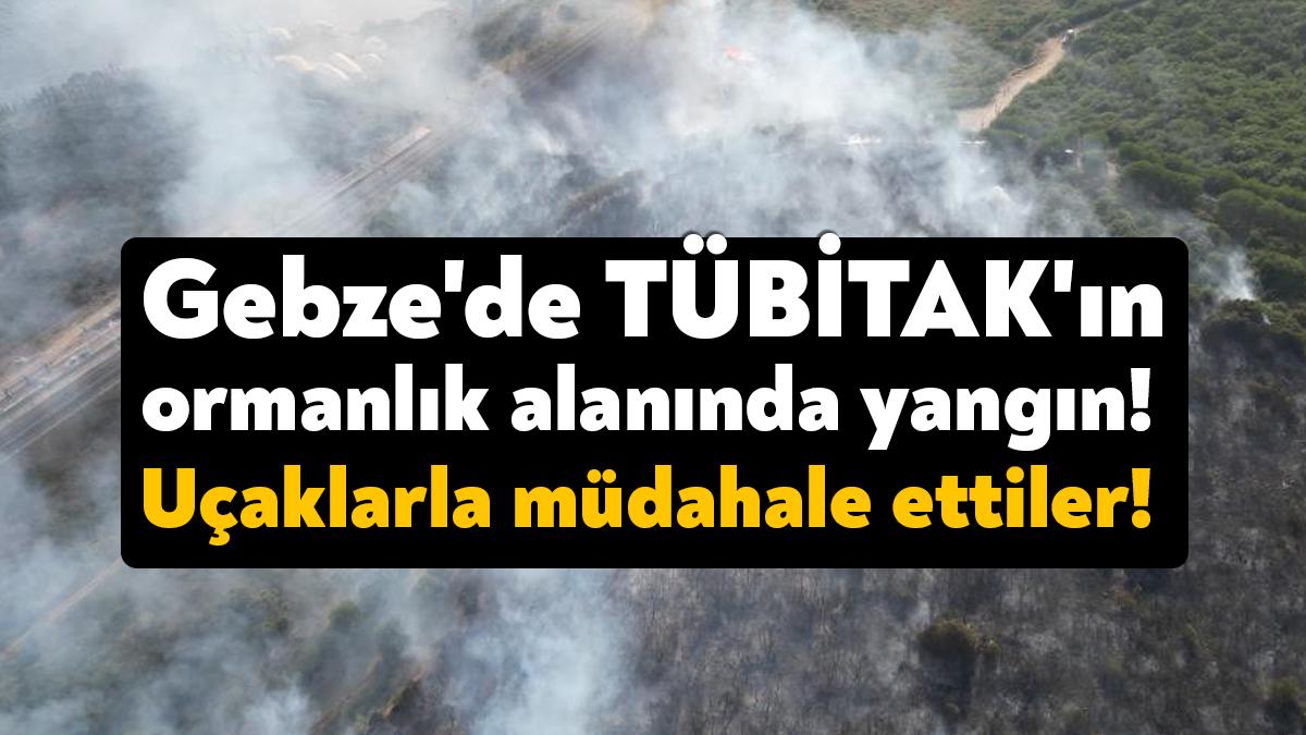 Kocaeli'nin Gebze ilçesinde Türkiye Bilimsel ve Teknolojik Araştırma Kurumu (TÜBİTAK)