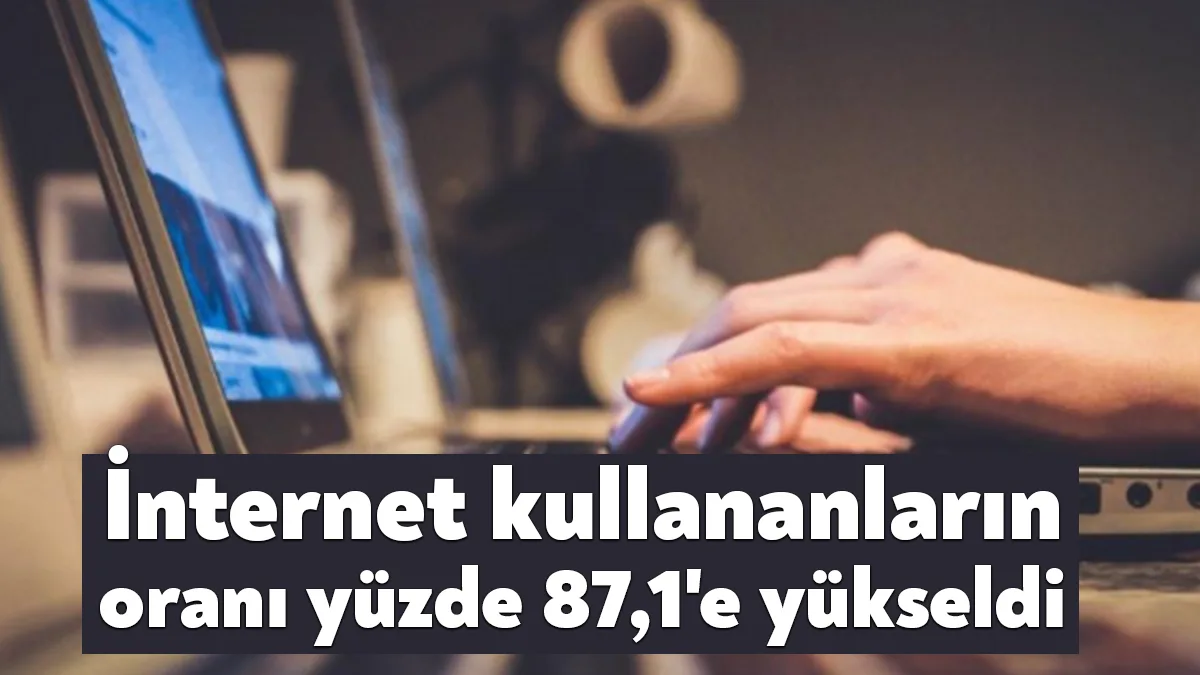 Türkiye’de bu yıl 16-74 yaş grubundaki kişilerin internet kullanım oranı