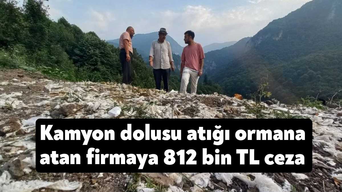 Kocaeli'de geçtiğimiz günlerde Yuvacık Barajı'na akan derenin yakınlarındaki ormanlık alana