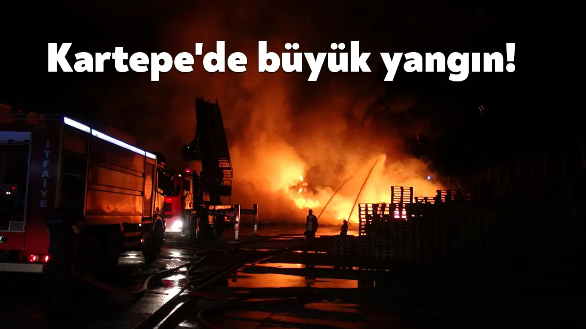 Kocaeli’nin Kartepe ilçesinde bir zincir marketin deposuna ait açık alanda