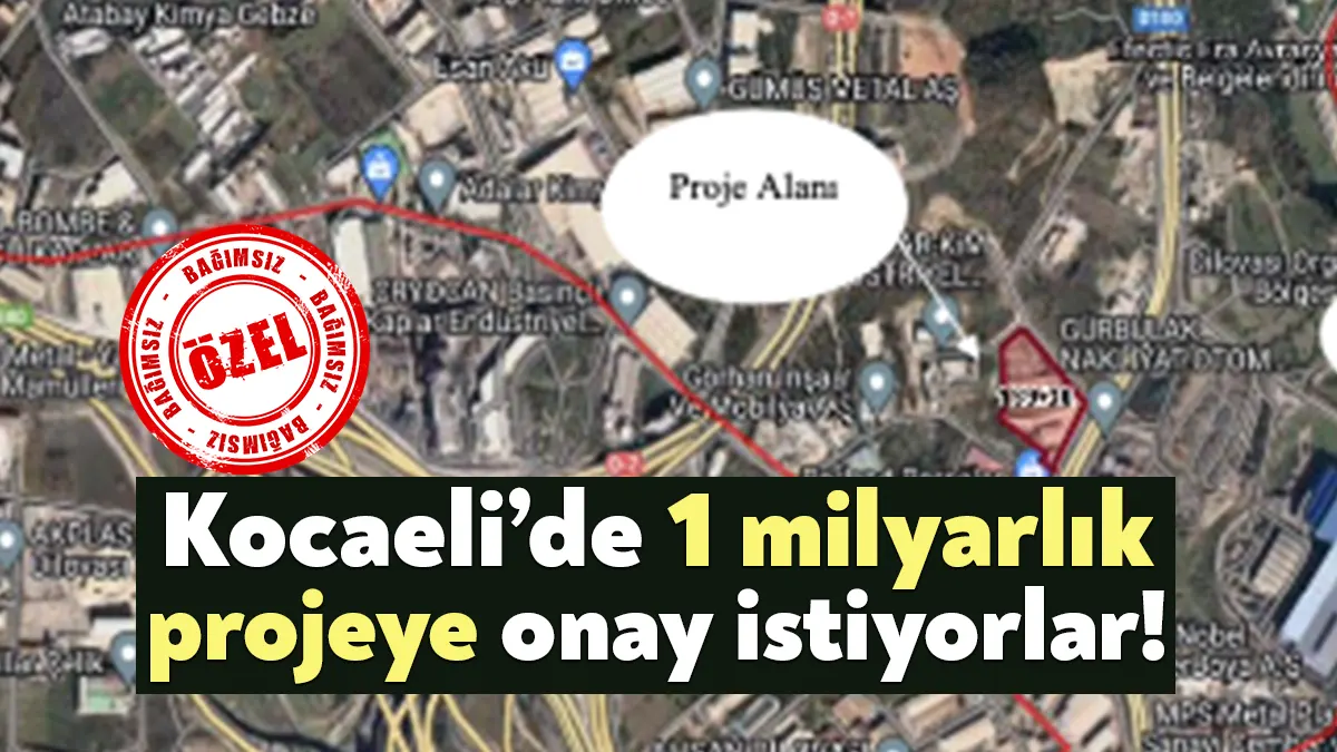 Sarkuysan Elektrolitik Bakır Sanayi ve Ticaret Anonim Şirketi, Dilovası Organize