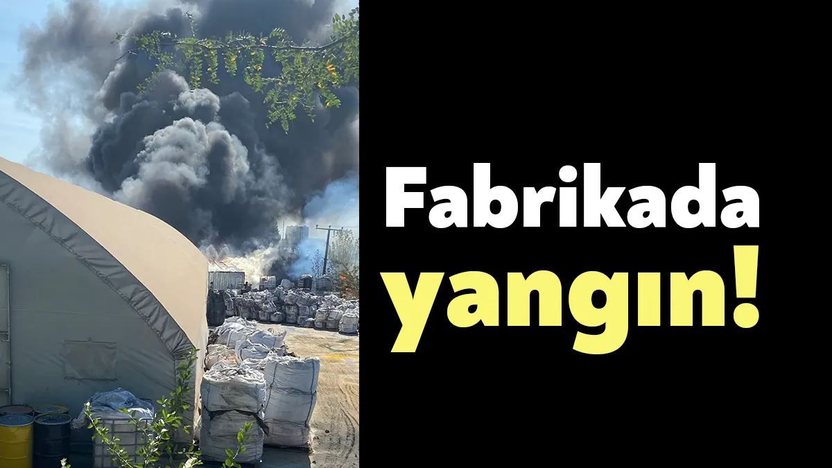 Kocaeli’nin Gebze ilçesinde bir boya fabrikasında yangın çıktı. Bölgeye çok
