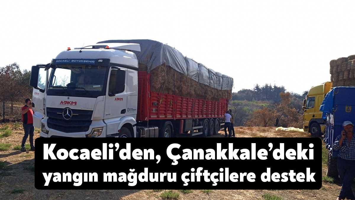 Büyükşehir ve Kandıralı çiftçilerin işbirliğinde düzenlenen organizasyonla Çanakkale’deki orman yangınında
