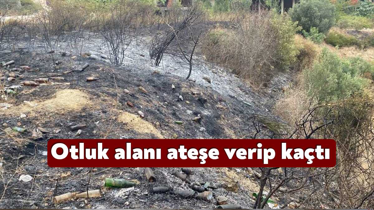 Kocaeli'nin Darıca ilçesinde iddiaya göre bir şahıs, otluk alanı yakarak