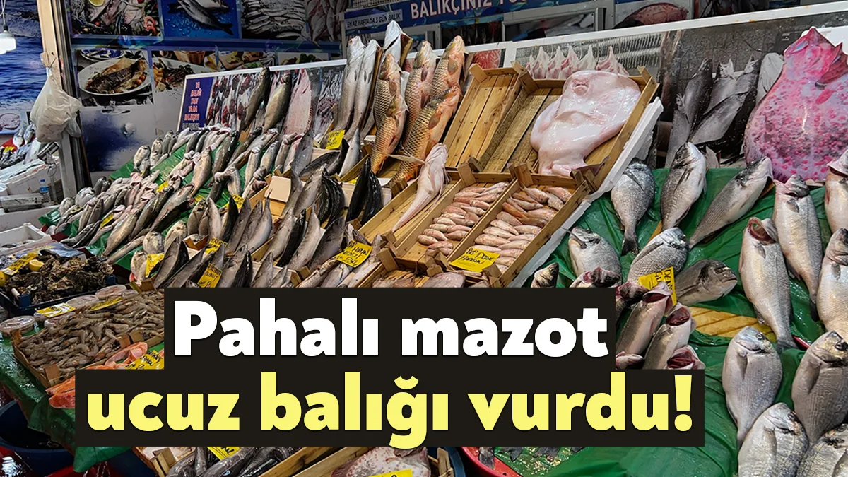 Seçimin hemen ardından akaryakıt fiyatlarına yapılan devasa zamlar, ucuz balık