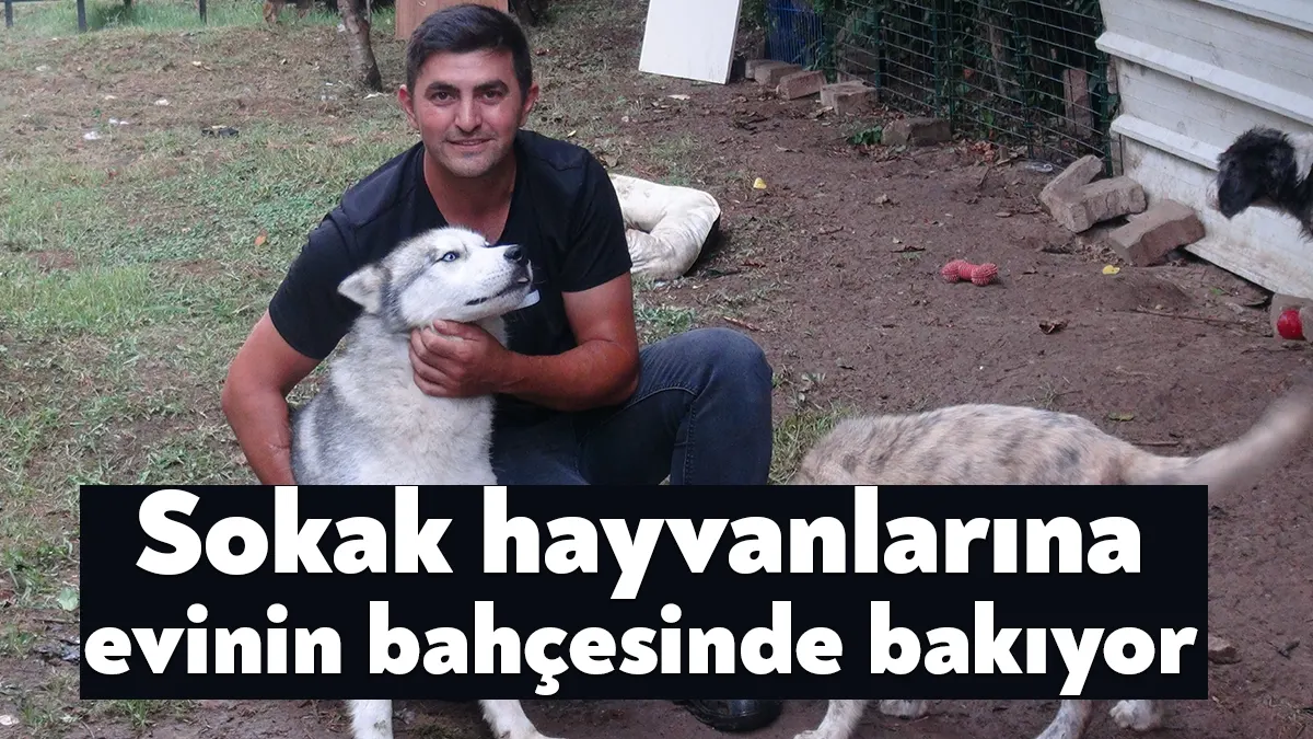 Kocaeli'de yaşayan güvenlik görevlisi Ömer Ayhan, evinin bahçesinde kendi imkanlarıyla