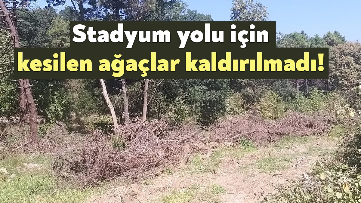 Kartepe'de Kocaeli Stadyumu yolu çalışması kapsamında kesilen ağaçlar yangın tehlikesi