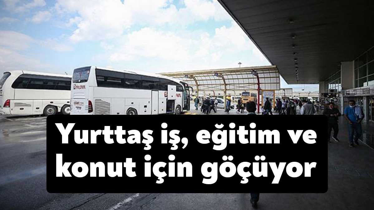 Türkiye’de geçen sene 2 milyon 791 bin kişi iller arasında