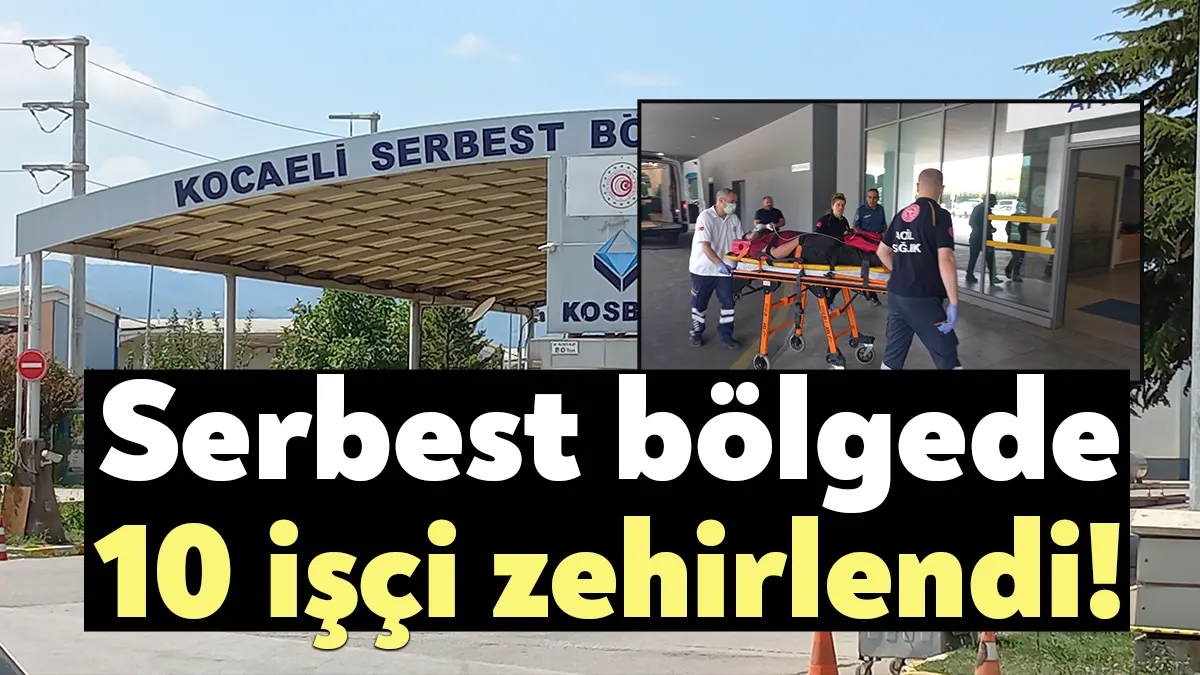 Kocaeli Serbest Bölge'de bulunan geminin içindeki yalıtım malzemeleri yandı. Yangın