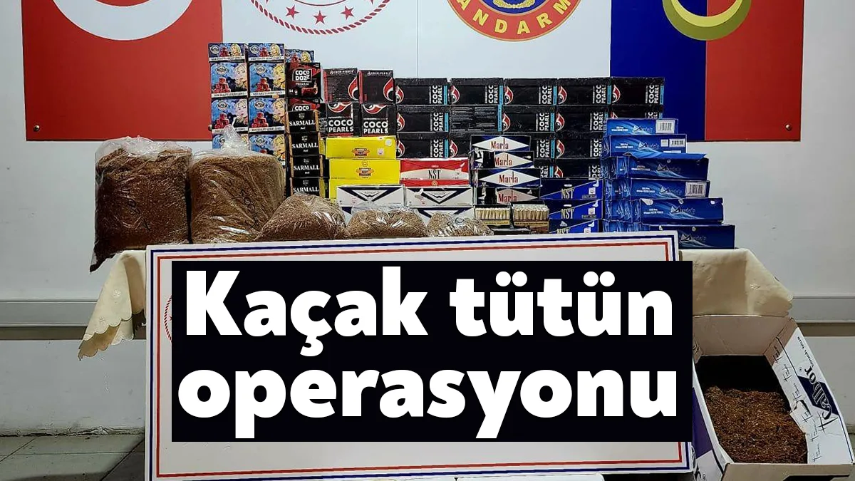 Gebze ilçesi mülki sınırları içerisinde bir şaha ait iş yerinde