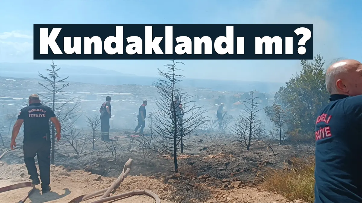 Kocaeli'nin Gebze ilçesinde ağaçlık alanda çıkan yangın, vatandaşların müdahalesiyle büyümeden