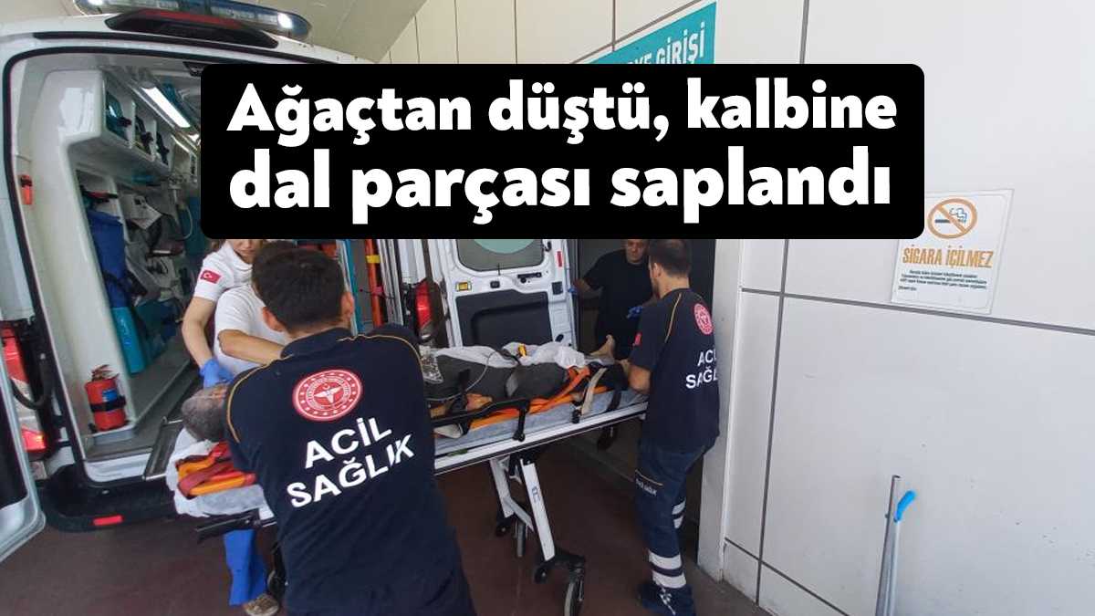 Kocaeli'nin Başiskele ilçesinde incir toplamak için çıktığı ağaçtan düşen ve