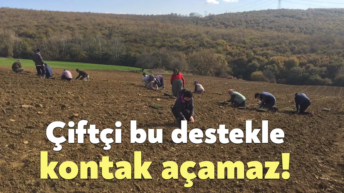 Tarımsal desteklerden çiftçiler yine umduğunu bulamadı. Mazot ve gübre desteğinin
