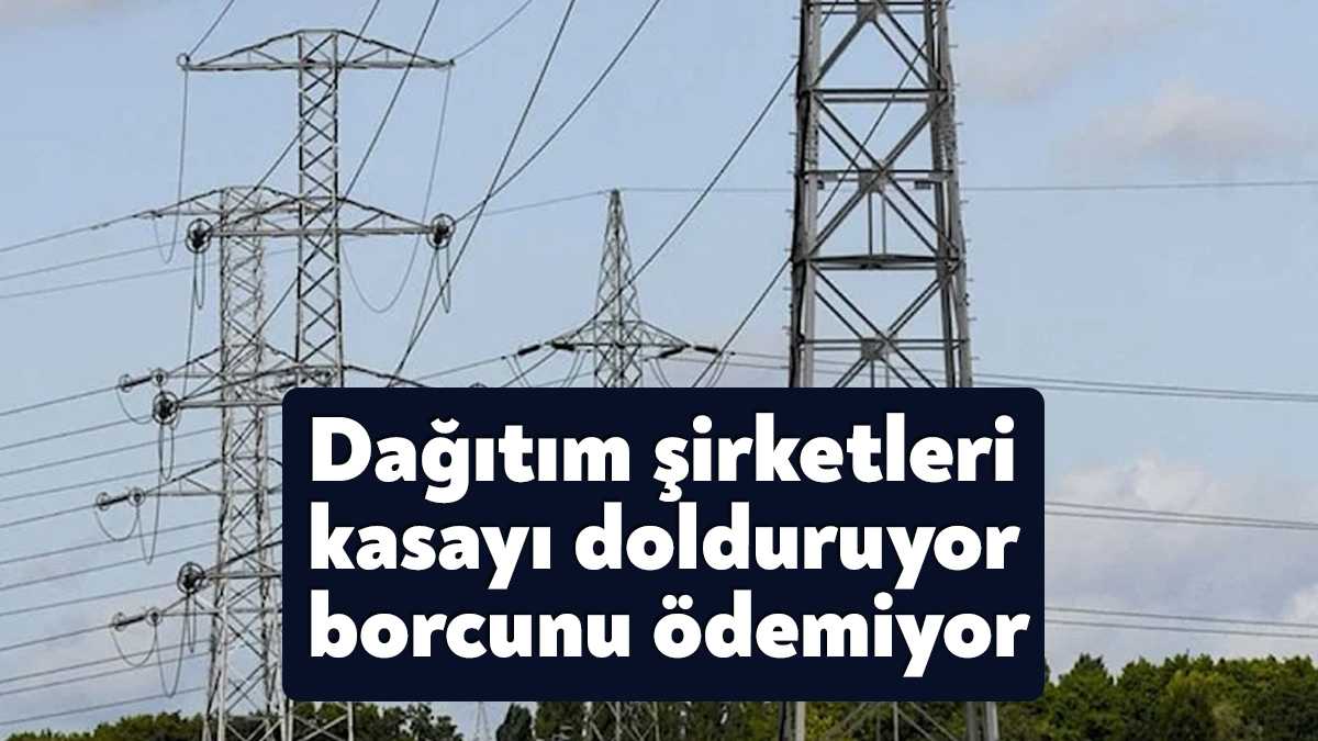Borcu nedeniyle vatandaşın elektriğini kesen elektrik dağıtım şirketleri devletten alacaklarını