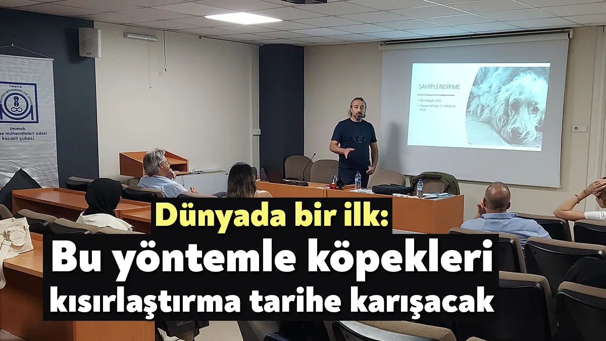 Köpeklerde ötenazi sorununun önüne geçmek, kısırlaştırmanın ekonomik maliyetini düşürmek ve