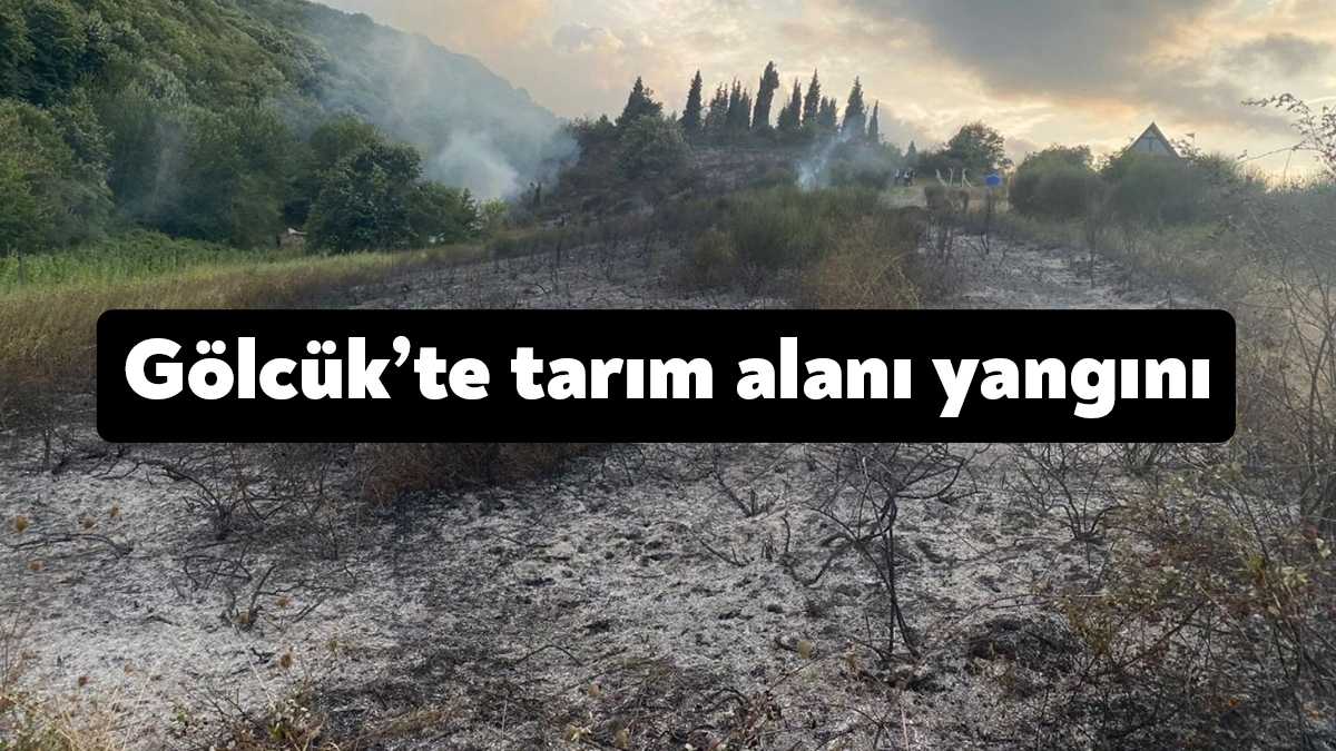 Kocaeli Valisi Seddar Yavuz Gölcük'te tarım arazisi alanında çıkan yangının