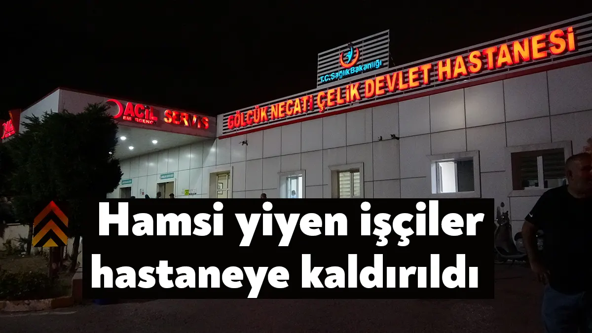 KOCAELİ (İHA) - Kocaeli’nin Gölcük ilçesinde bir inşaat şantiyesinde hamsi