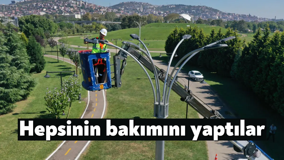 Kocaeli Büyükşehir ekipleri, 177 adet yeşil alandaki 20 bin direk