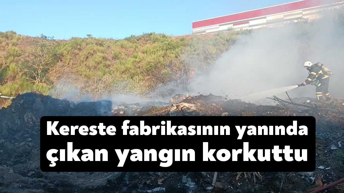 Kocaeli’nin Çayırova ilçesinde bir kereste fabrikasının arkasında bulunan atıklar yandı.