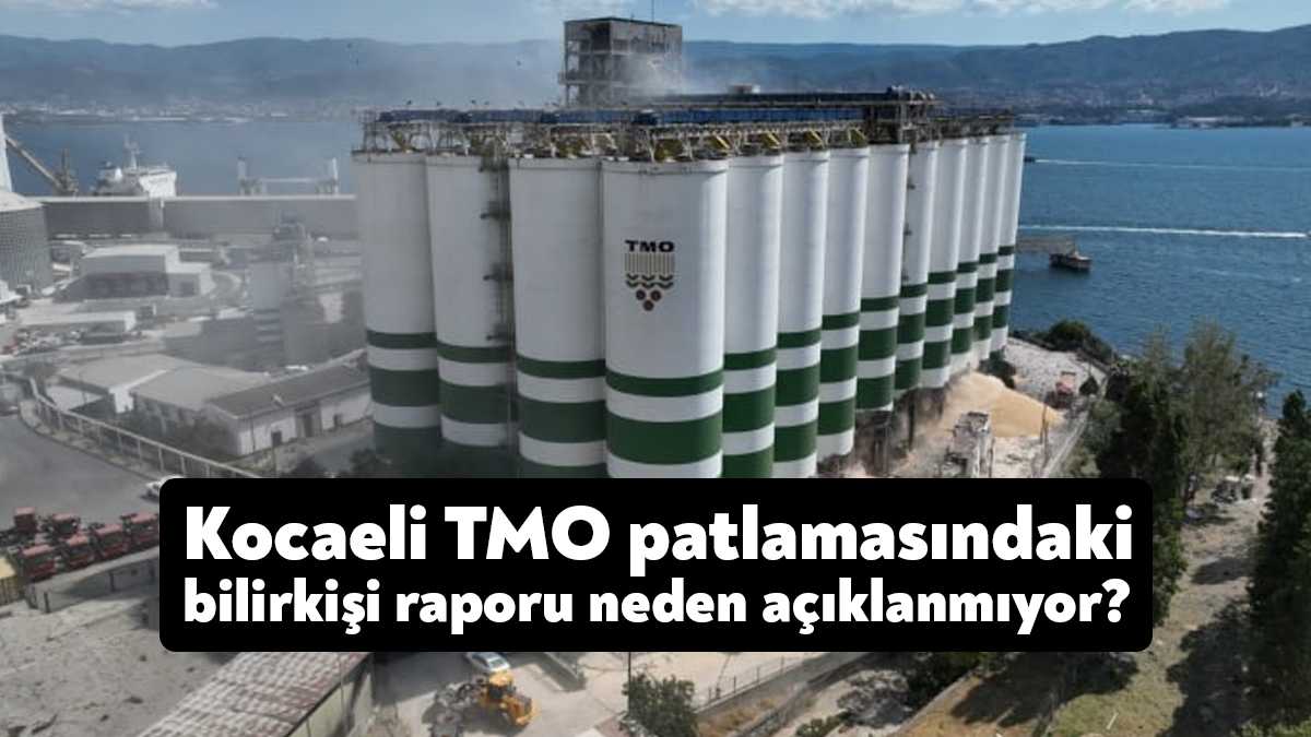 TBMM’deki basın açıklamalarıyla Kocaeli’nin sorunlarını sık sık gündeme getiren YSP