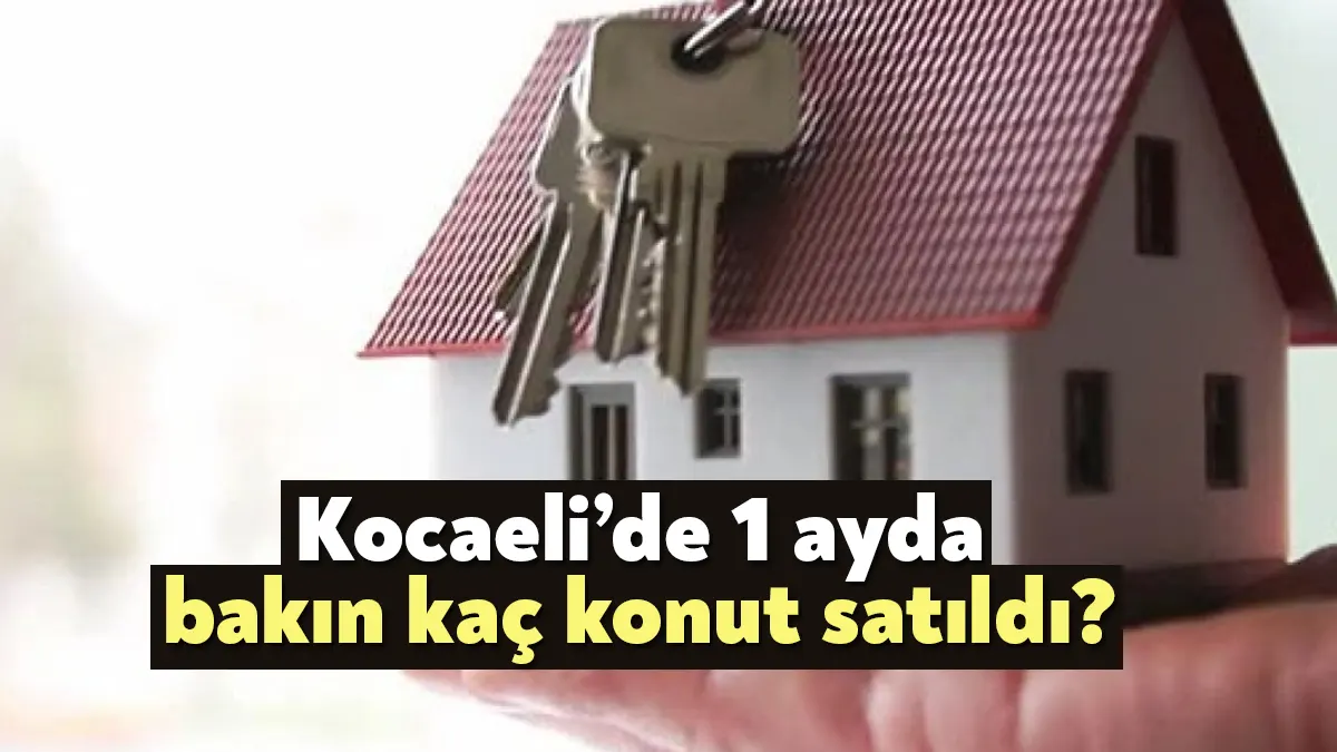 İllere göre Konut Satış İstatistikleri, Kasım 2023 verileri açıklandı. Türkiye