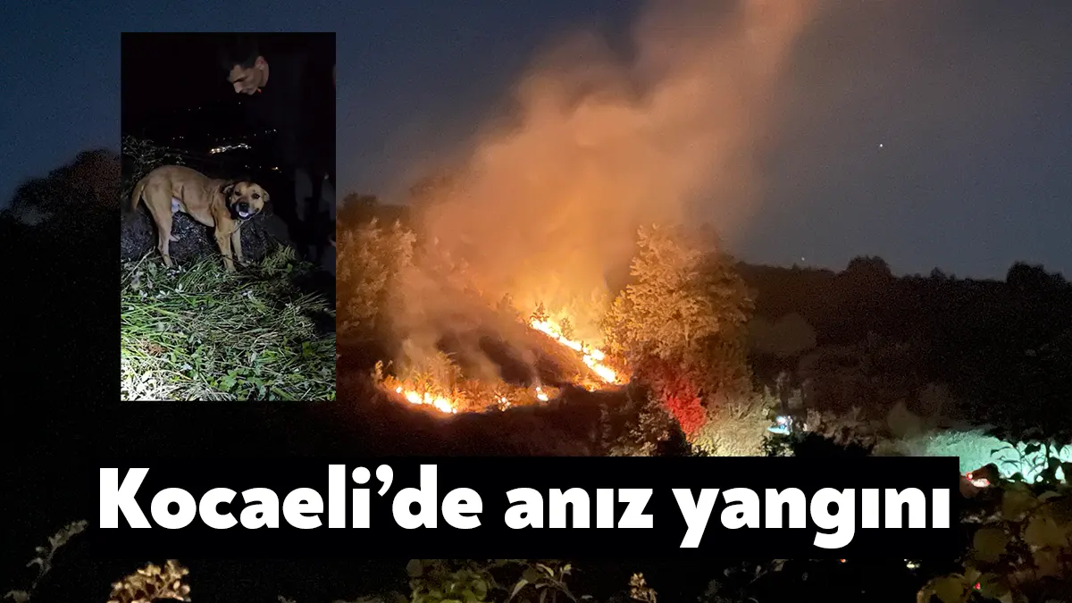 Kocaeli'nin Gölcük ilçesinde tarlada çıkan anız yangını ormana sıçramadan söndürüldü.