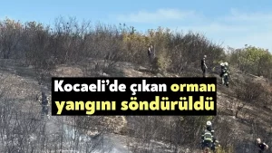 Kocaeli’de çıkan orman yangını söndürüldü