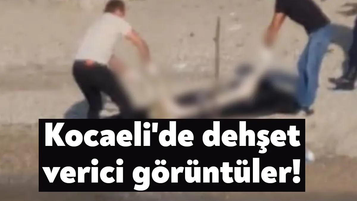 Kocaeli'nin Kandıra ilçesindeki elinin, ayaklarının ve başının olmadığı kadın cesedi