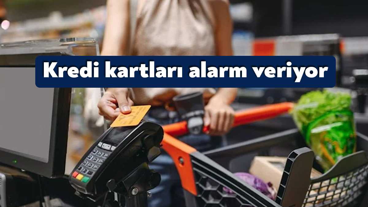Vatandaşın geçinebilmek için kredi ve kredi kartı kullanımına ihtiyacı arttıkça